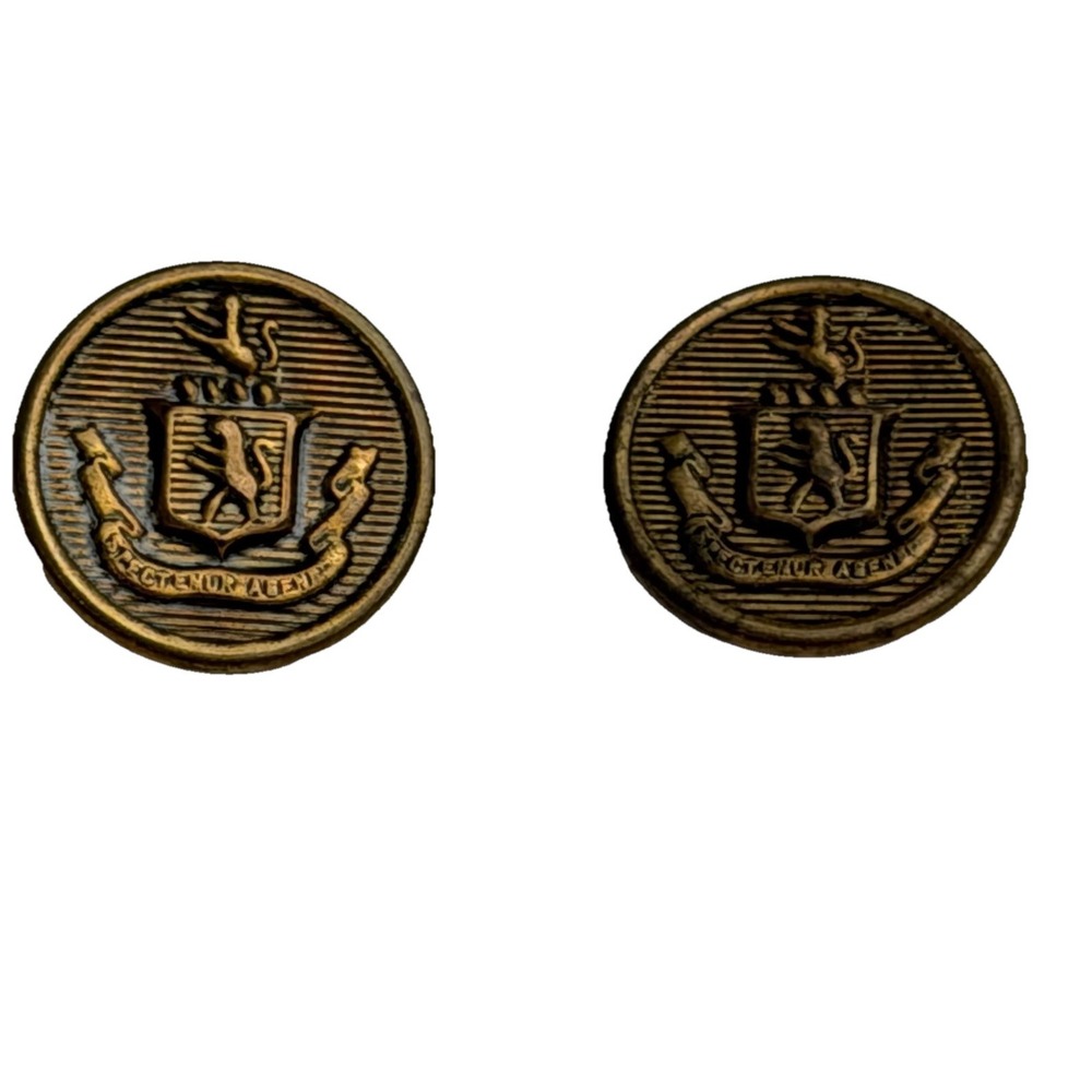 Vintage Brass Crest Buttons‎ Pair • Heraldic Lion Shield Emblem • Sewing Crafts